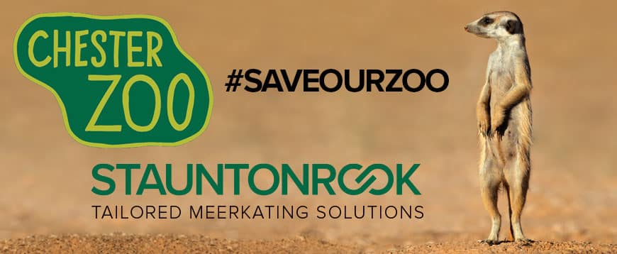 Chester Zoo Marketing