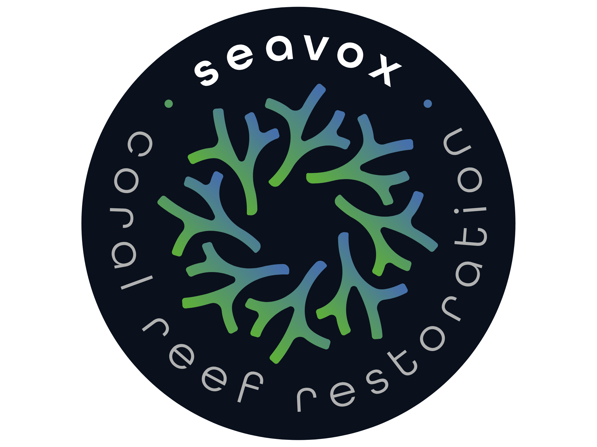 Seavox logo design