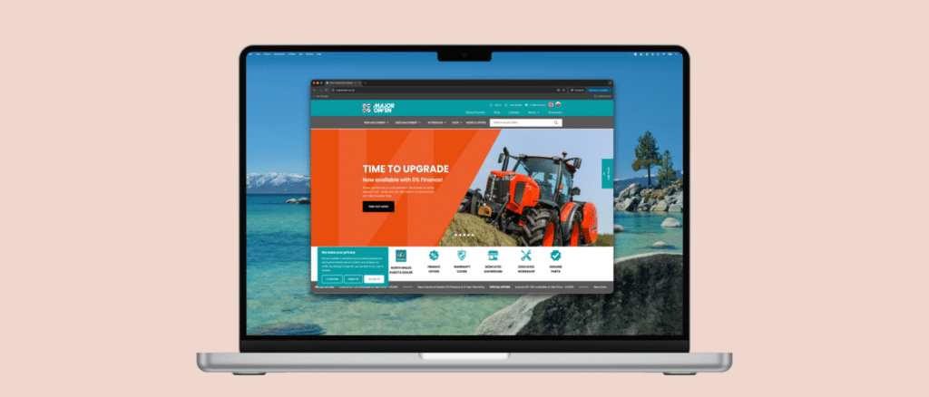 Large Ecommerce Websites