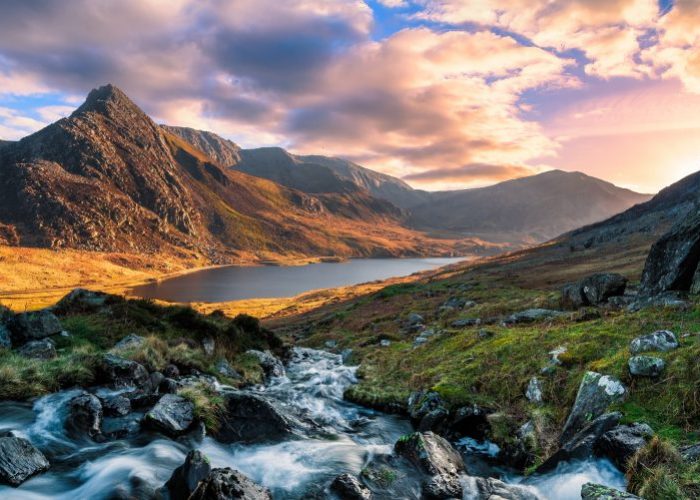 branding and design north Wales